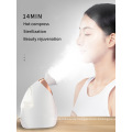 Nano Mist Spray Mini Spa Professional Face Humidifier